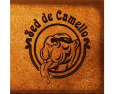 Héroes, Villanos y Pipas de Calabaza