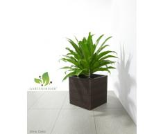 Maceteros para plantas de polyrattan marca Gartenfreude incluye insertos plásticos y sistema de riego para el interior y el exterior, marrón bicolor, 31 x 31 x 31 cm