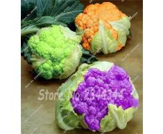 8: 100Pcs Semillas de coliflor negra Semillas de hortalizas chinas no transgénicas Jardín de su casa Planta en maceta Planta de bricolaje deliciosa