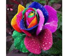 Rosepoem 600pcs coloridas semillas de flores del arco iris plantas de jardín casero amante único multicolor