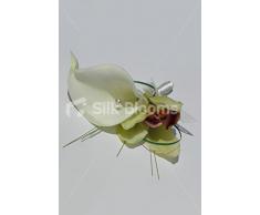 Vela de Marfil y verde de la boda de la orquídea Cymbidium espiratoria