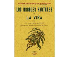 Los Arboles Frutales y La Viña
