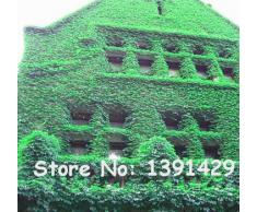 1 bolsa = 20 piezas coloridas Boston Ivy arce japonés semillas de las enredaderas de planta trepadora para DIY Hogar y jardín exterior Plantas