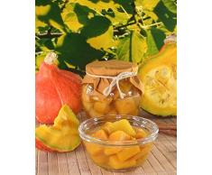 Calabaza gigante "Uchiki Kuri" - tipo Hokkaido - semilla