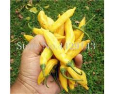 Bloom Green Co. ¡Venta! 100 pcs Fresco Japonés Ornamental Del Arco Iris Híbrido Híbrido Bonsai Bricolaje Hogar Jardín Vegetal Planta Bonsai Chilli Bonsai: 15