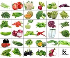Seedsown 40+ variedad de semillas de hortalizas un completo pack para terraza y cocina jardinerÃa semillas de plantas hortÃcolas