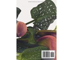 In Gedenken an einen besonderen Menschen: Kondolenzbuch zum Auslegen auf Trauerfeier, Beerdigung oder im Hospiz, Krankenhaus, Seniorenheim. ** Lilie Calla, rosa, weiß