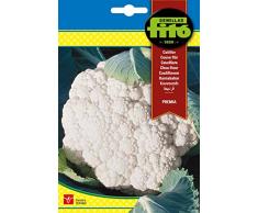 Semillas Fitó 89 - Semillas de Coliflor Premiá