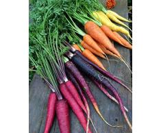 Beautytalk Jardín-Semillas de zanahoria orgánicas, plantas de zanahoria raras verduras coloridas semillas de zanahoria perenne alfombra de huerta semillas de hortalizas