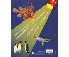 Animales Del Mar (Libro linterna)