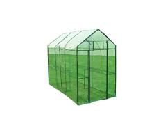 Tidyard Invernadero Caseta,Invernadero de Jardín con 2 Estantes y 1 Puertas,Estructura de Acero,Verde Transparente 120x240x190cm