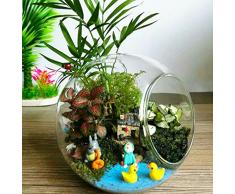 Ruikey Micro-Paisaje de Mesa pequeño jarrón de Cristal de la chuchería Transparente Multi-Carnes Plantas Maceta para la Oficina de decoración de Bricolaje Bonsai candelabro