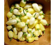 ShopMeeko Seeds:100 Pcs Pepper Plants DIY Home Garden Fast Growing Vegetables Plants Chilli * Paprika Sementes For Jardin Bonsai Vegetable Plant : White