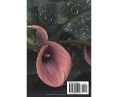 In stiller Trauer: Kondolenzbuch zum Auslegen auf Trauerfeier, Beerdigung oder im Hospiz, Krankenhaus, Seniorenheim. ** 120 Seiten ** Lielien Calla, rosa, schwarz