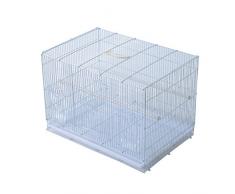 Jaula Pajaros 60x41x41cm Pajarera Pajaro Loros Canarios Cotorras Hierro Blanco