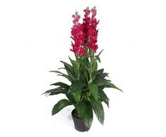 Leaf Planta de orquÃ­dea Artificial de 100 cm, Extra Grande en Maceta de plÃ¡stico Negro, Rosa Oscuro