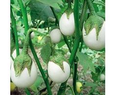 Beautytalk Jardín-Raras semillas de berenjenas blancas Semillas de hortalizas Hogar Granja Jardín Semillas de hortalizas perennes Semillas de hortalizas