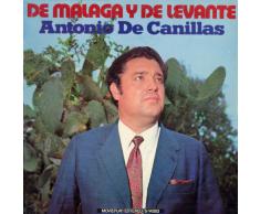 Tu eres roca y yo soy fuente (Taranta)