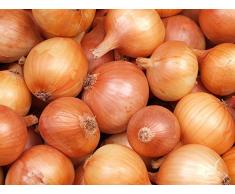 BIO - Cebolla "Density 5" - semillas orgánicas certificadas - semilla
