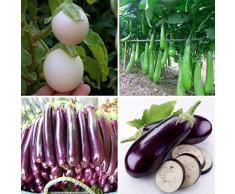 Creine 200 Unids Semillas de Huevo Blanco Hortalizas Semillas de Berenjena Púrpura Home Garden