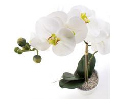 Orquídea phalaenopsis CANDIDA, 2 ramas, blanco, en maceta, 65 cm - Planta decorativa / Flor artificial - artplants