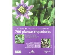 700 plantas trepadoras (Plantas horticolor)