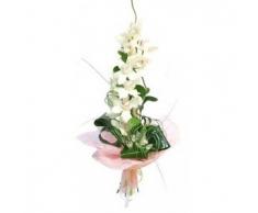 Ramo de 1 Orquídea Cymbidium natural Blanca + nota personalizada gratis!
