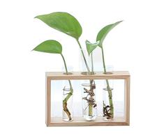 DAYOLY - Maceta de terrario para Plantas y jardinería – Soporte de Madera para Mesa de café, decoración de Boda, Three Bottles