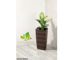 Cuba para plantas de polyrattan marca gartenfreude incluye sistema de riego para el interior y el exterior, marrón bicolor, 12mm 26.5 x 26.5 x 50 cm