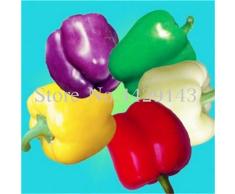 Bloom Green Co. ¡Venta! 100 pcs Fresco Japonés Ornamental Arco Iris Híbrido Híbrido Bonsai Jardín de Vegetales Bricolaje DIY Planta Bonsai Chilli Bonsai: 2
