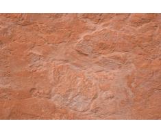 500 ml o sea 0,5 Litros Terrracotta Terracottareiniger Terracottareinigungsmittel Limpiadores de terracota Tierra Cotta Cerámica unglasierte CleanPrince para Losas del patio Jarrones Suelo Pisos Uso al aire libre con Eflorescencia
