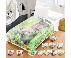 i-baby Manta de Sherpa Manta de Lana para Sofa o Cama Extra Suave Sobrecama Franela Impresa en 3D Doble Capa (Sol Gatito, 130x170cm)