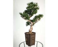 Bonsai Podocarpus artificial en maceta, 320 hojas, 90 cm, resistente a la intemperie - Bonsái decorativo / Bonsai artificial de alta calidad - artplants