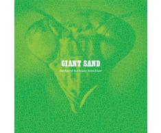 Backyard BBQ Broadcast (25th Anniversary Edition)