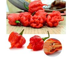 Potseed 100 Piezas Raras Carolina del Reaper Chilli Pepper Vegetable Seeds Jardín decoración clásica
