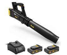 TECCPO Soplador de Hojas con Batería, 2 Baterías de 18V 2.0Ah, Ventilador Axial, Interruptor de 2 Velocidad 9000/15000rmp-TDAB01G
