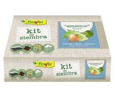 Flower 51177 51177-Kit semillas amateur (lechuga romana, cebolla babosa, pimiento pisa), No aplica, 38x24.5x9.5 cm