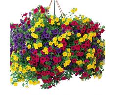 MURIEO jardín- 100pcs Morning Glory SeedsSummer Mix, jardín de plantas trepadoras, macetas campanas mágicas para balcón y patio