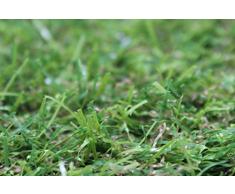 Cesped artificial Madeira 20 mm en rollos de 2x4 m