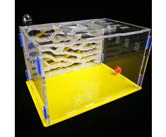 ROUND YUAN - Dispositivo de Clase de tecnología para niños, Juguetes de Estudio de biolgy, hormigón, Nido, ryc1, Zona de alimentación, Hormiga, Granja, acrílico, Insectos, Taller, Bricolaje, Montaje