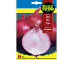 Semillas Fitó 1235 - Semillas de Cebolla Morada de Amposta ARBO