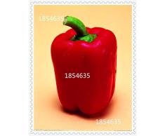 Fash Lady 1: Semillas de hortalizas Habanero Chilli Pepper Plant - 100 PC Semillas- ¡Extremadamente caliente!