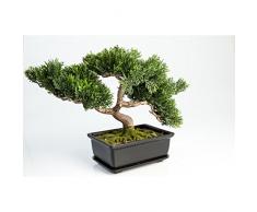 artplants.de Bonsái de Cedro Artificial con 120 Ramas, en Cuenco Decorativo, 25cm - Bonsái Decorativo - Bonsai Artificial