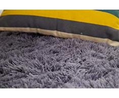 CNFQ Shaggy alfombras de Pelo Largo alfombras Salon alfombras de habitacion moquetas Sala de Estar (Gris, 100 x 200 cm)