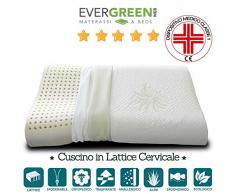 Evergreenweb –Almohadas viscoelástica o látex de origen natural, 70 cm núcleo Compacto. Doble Funda con Cremallera. Tejido Aloe Vera. adaptabilidad al Cuello. desenfundable, firmeza media, altura 12 cm, cojines con funda Antiácaros