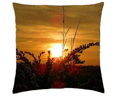 Glowing hierbas al atardecer - Funda de cojín (18