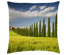Campo de trigo en una granja italiano - Funda de cojín (18
