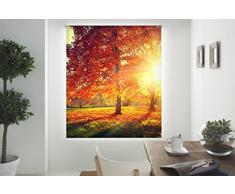 Blindecor Estor enrollable translÃºcido digital, Paisajes,W-P-37235,130X180 cm