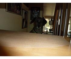 Floordirekt STEP perro Estera antideslizante Fein relieve, 5 unidades en 65 cm x 15 cm transparente, para 5 STK Escaleras. En lugar de OD. Escalera Alfombra 0,25 mm de grosor autoadhesivo