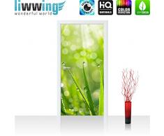 Liwwing - Tapete fotográfico autoadhesivo 100 x 211 cm - cima! prima mural plus puerta! panel de la puerta de